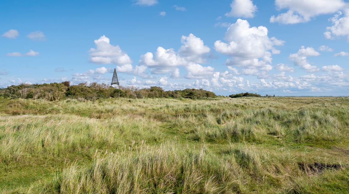 Beacon on Kobbeduin dunes of Frisian island Schiermonnikoog, Netherlands